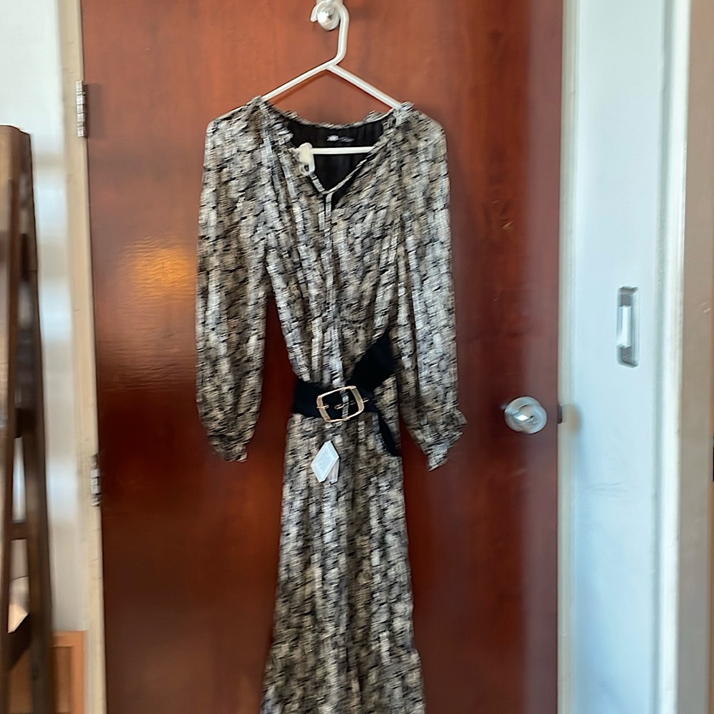 Zara Snake Print Maxi
